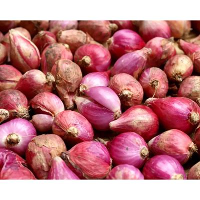 Bawang Merah Tanpa Kupas